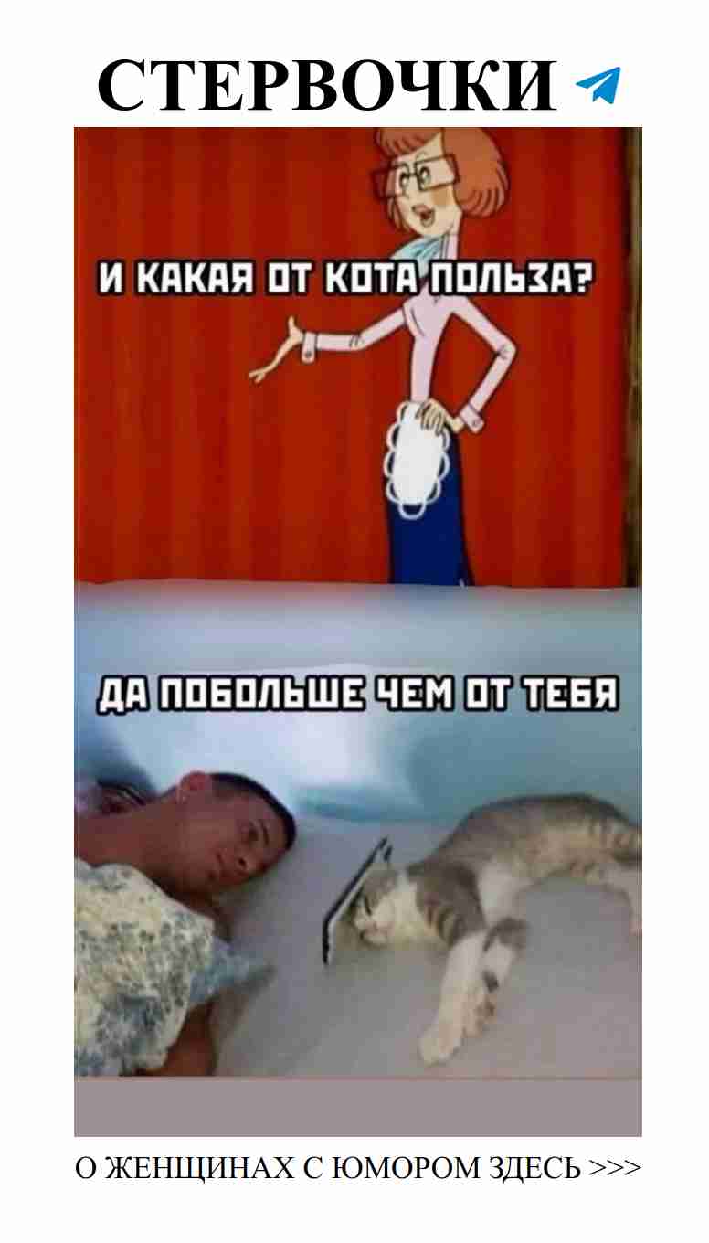 Смешные истории о любви, которые заставят вас смеяться