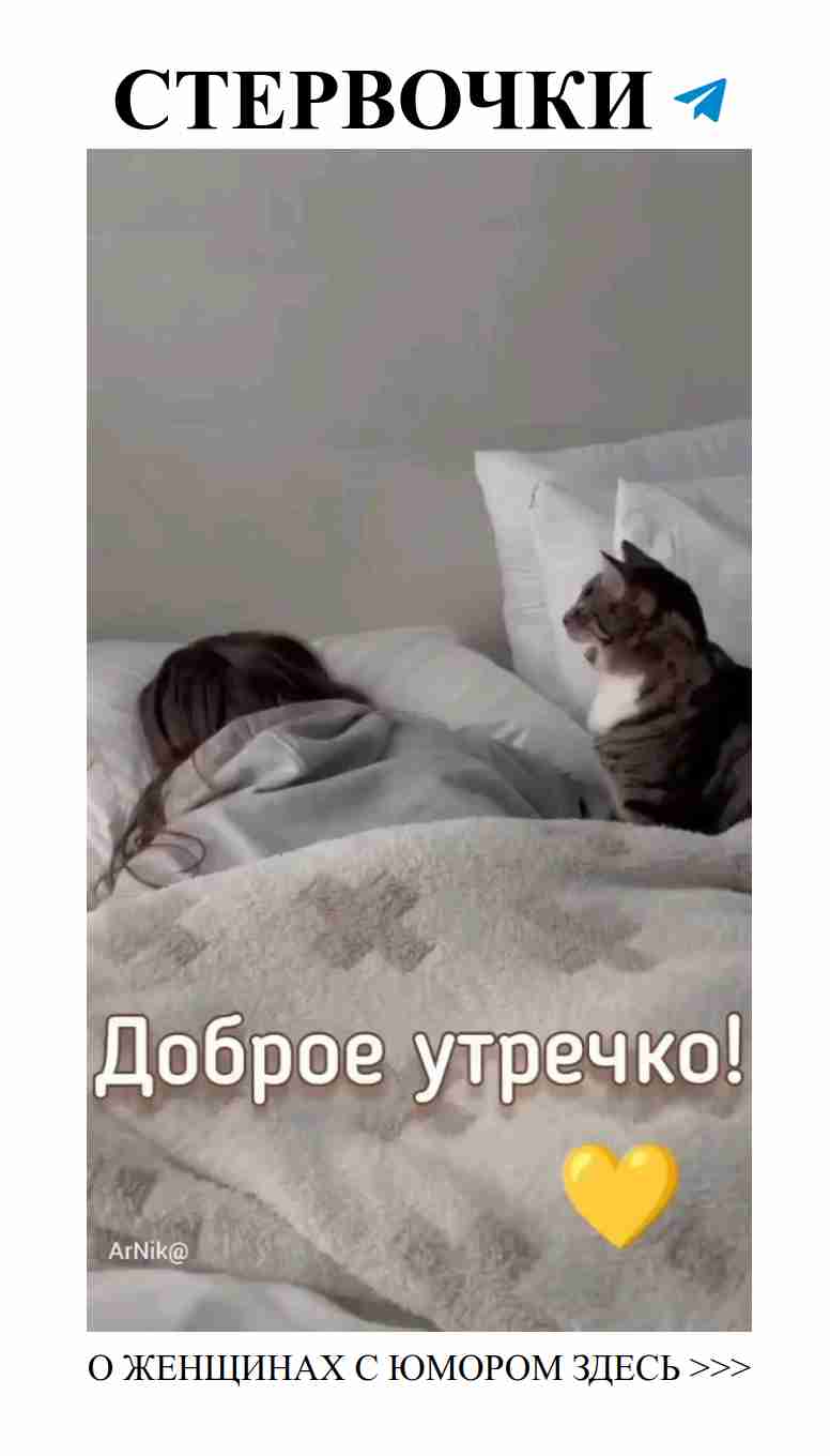 Улыбнись с добрым утром: видео и картинки для поднятия настроения