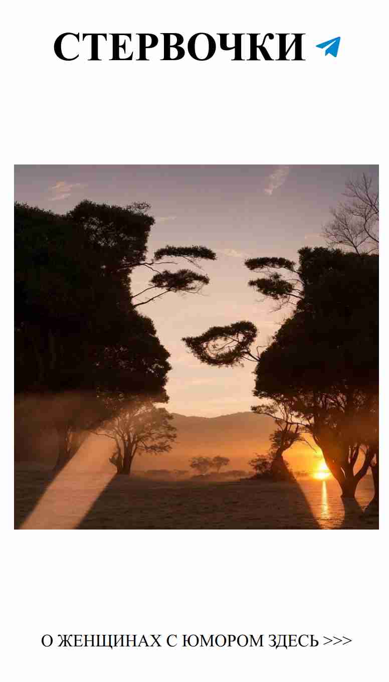 Любовь и юмор: как смеяться вместе и не сойти с ума