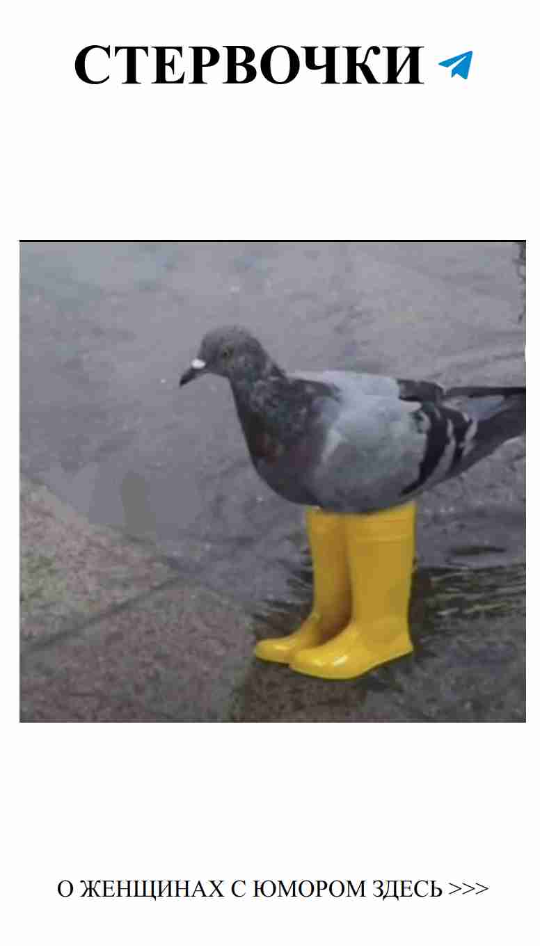 Любовь и юмор: когда сердце смеется и страдает