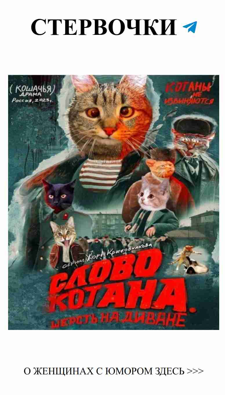 Смешные мемы о любви для девушек и котов