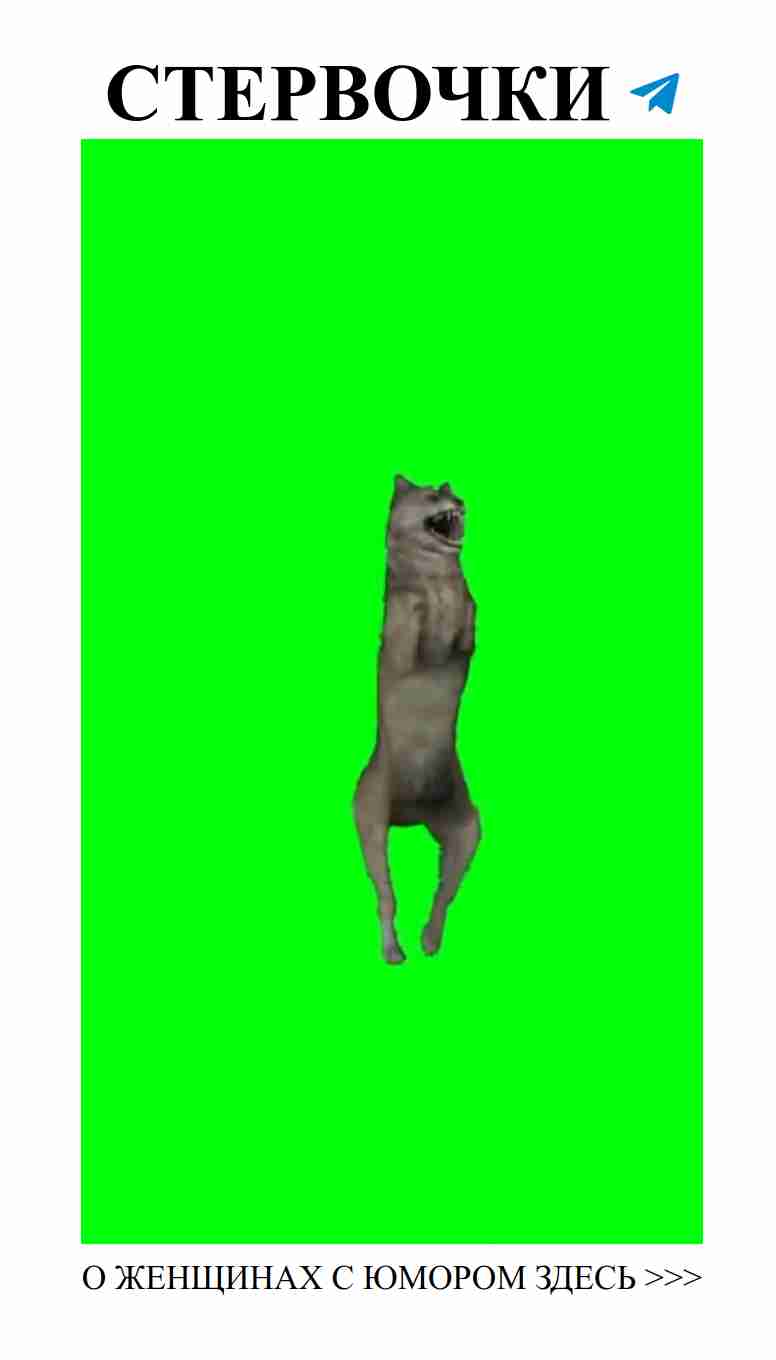 Когда волк танцует, любовь нагревает сердца