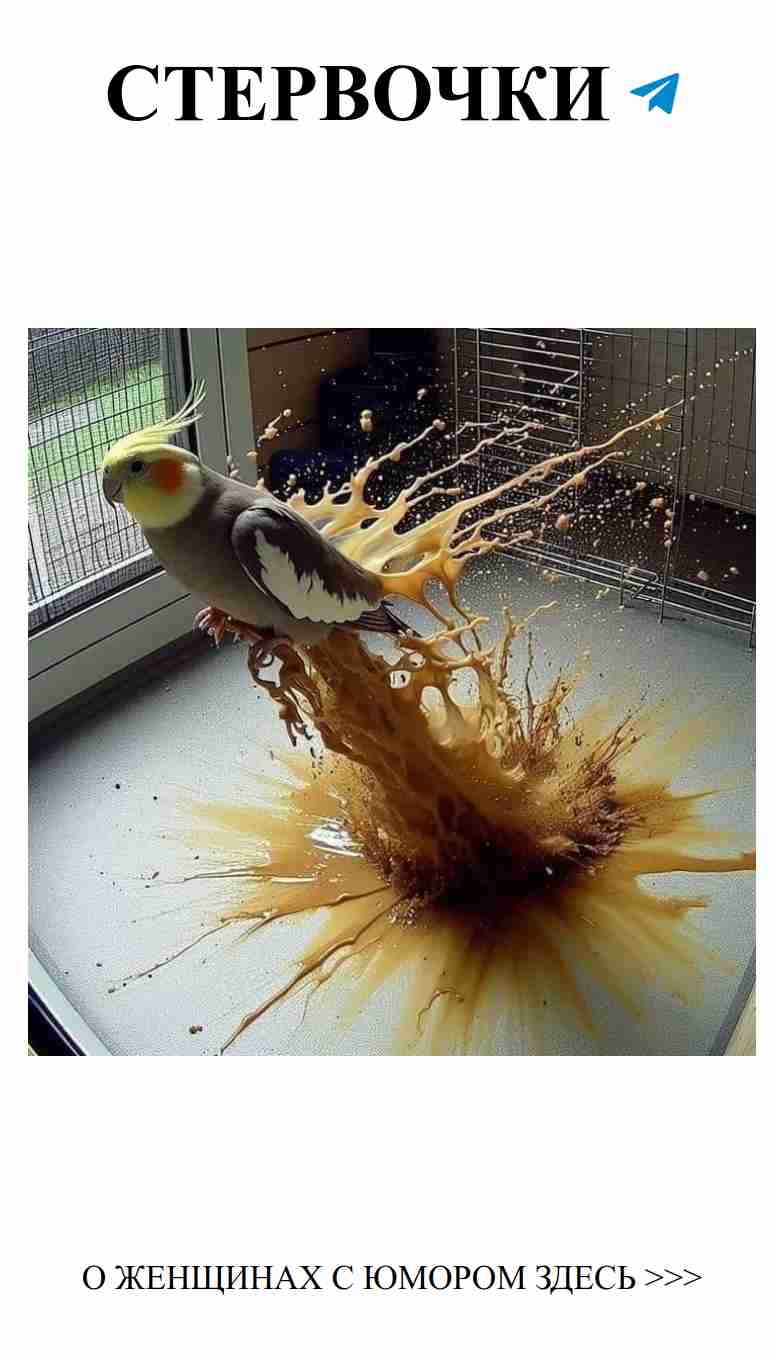 Любовь в шутках: как уколы душевные превращаются в смех