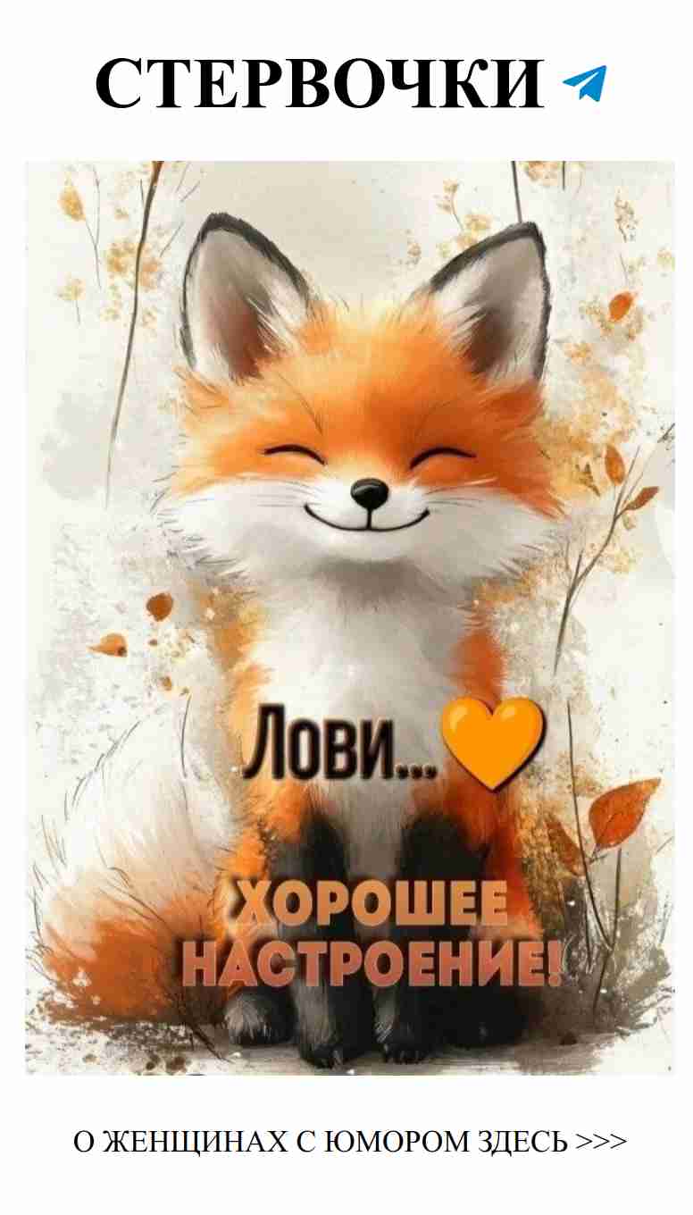 Смех и любовь: женский юмор в каждой истории