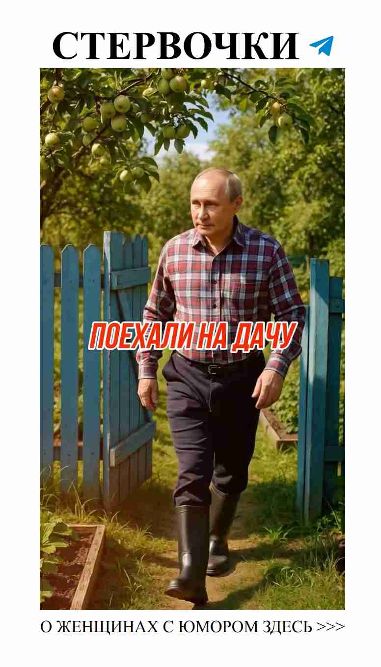 Улетай на дачу с любимым: где любовь и юмор цветут