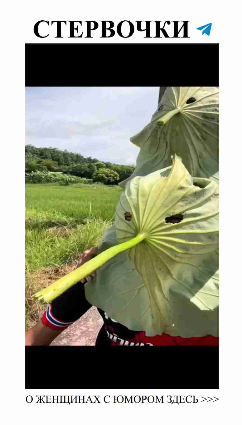 Любовь и смех: микродозируем юмор в нашей ленте