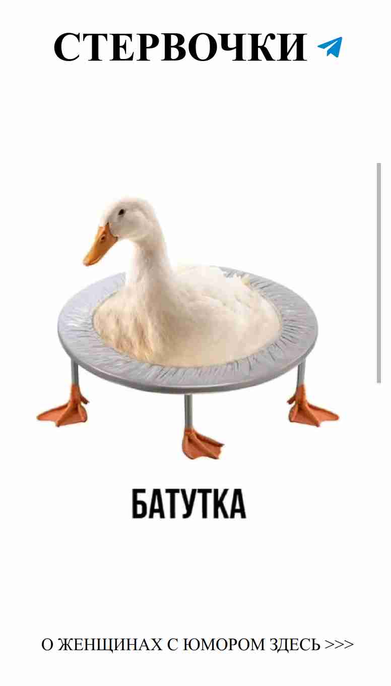 Любовь и юмор: как нам крутить эту забавную жизнь