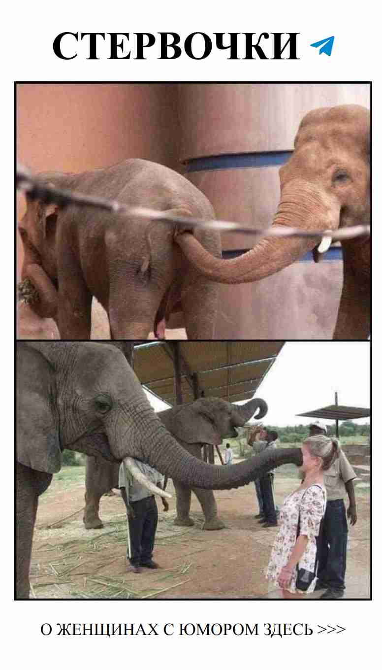 Смешные ситуации о любви, которые понимает каждая женщина