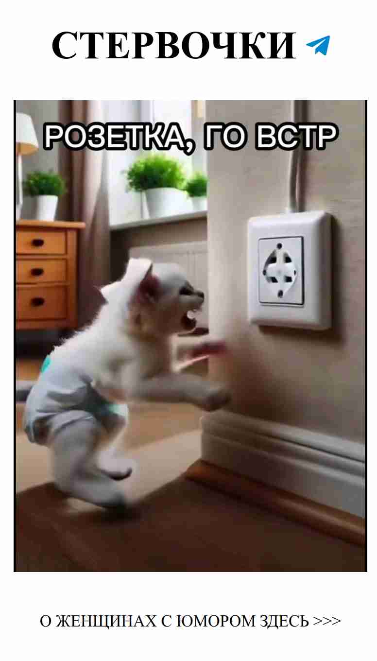 Когда одной подруге завидуют, а другая в схватке с ножом