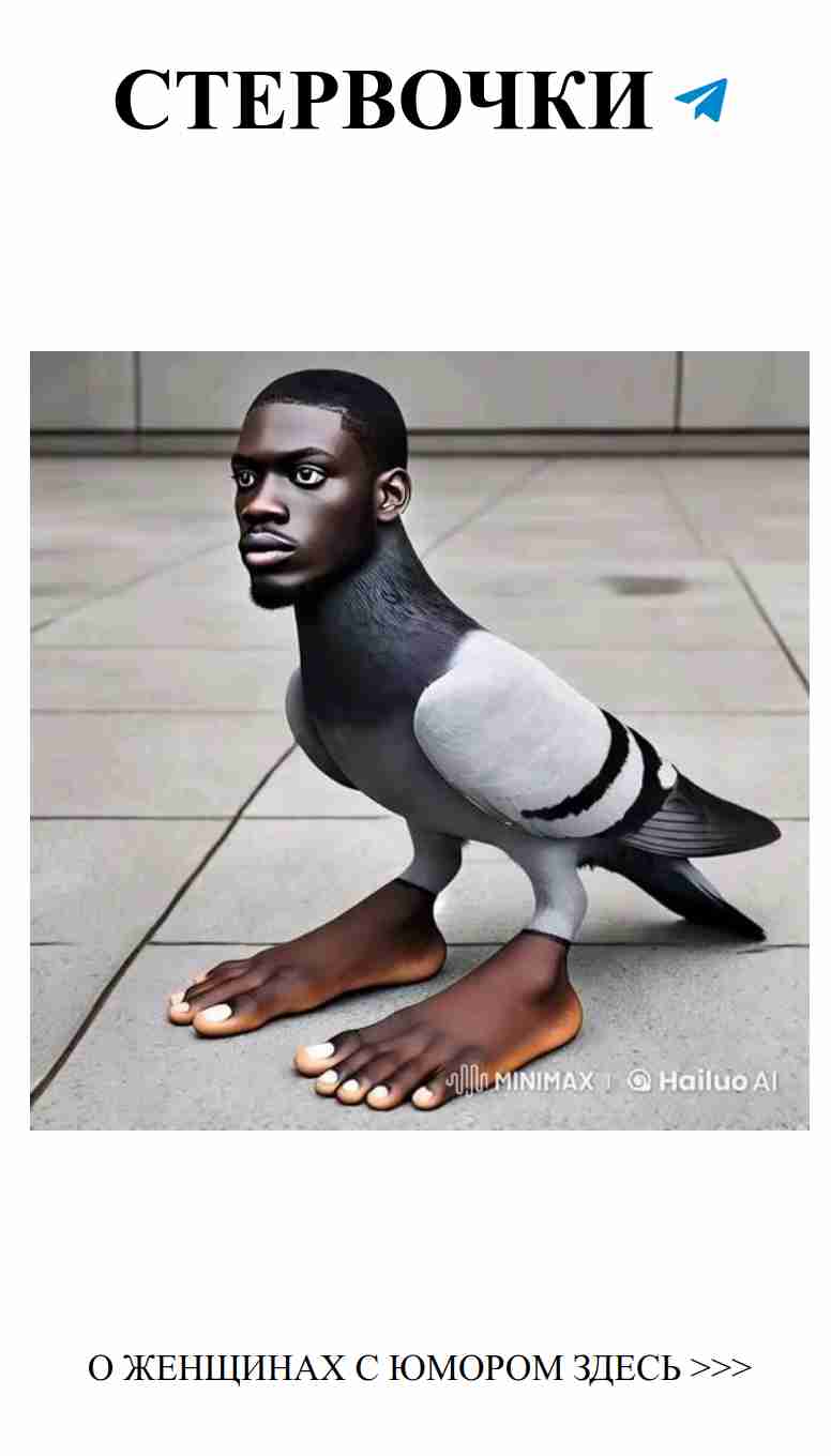 Голубь и нейросеть: юмор о любви с женским взглядом