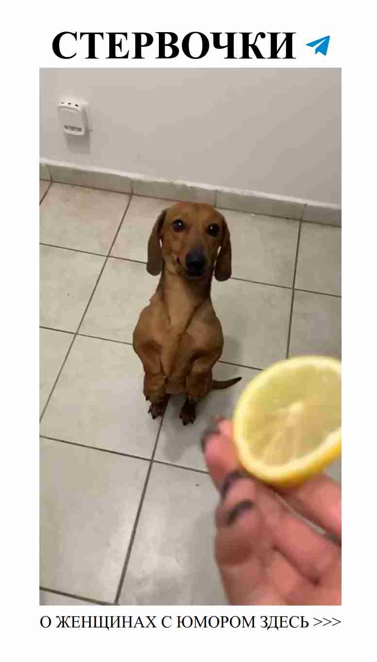 Смешные моменты любви: юмор, который заставит смеяться