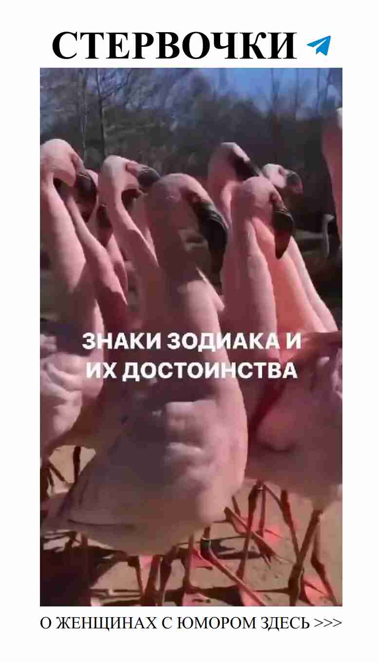 Любовь через смех: покажите, как смеяться вместе