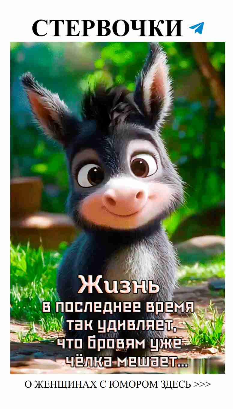 Смех и любовь: женский юмор, который вы не забудете