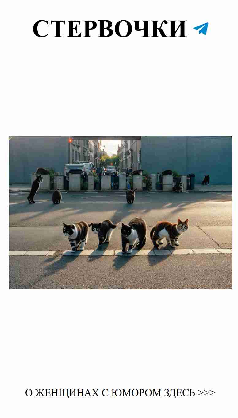 Утренний юмор о любви и спрятанных посланиях