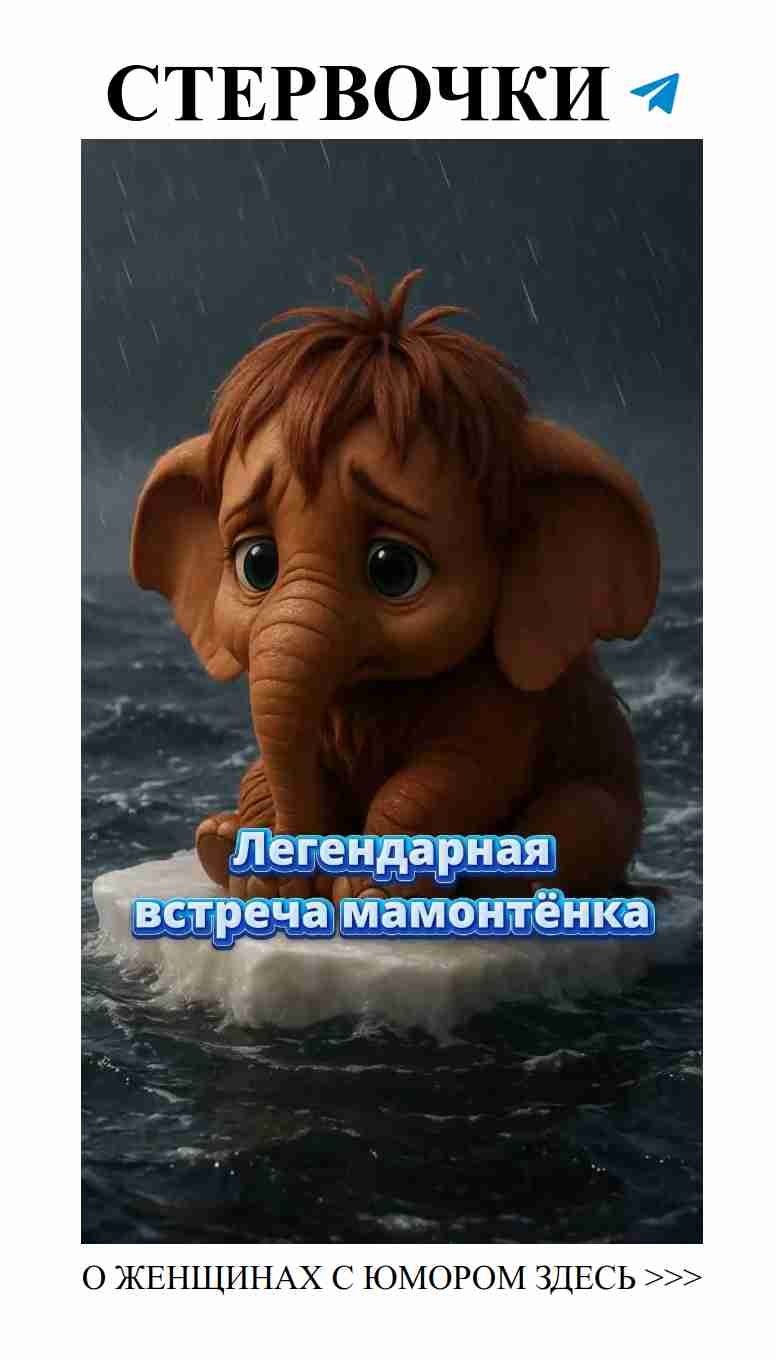 Мамонтенок нашел свою маму: пусть мечты сбываются!