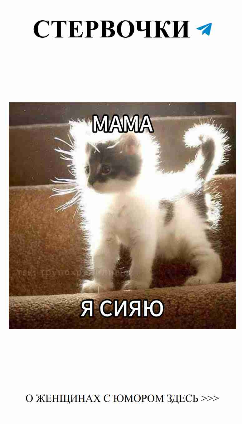 Любовь, смех и трупохранилище: где заканчивается романтика