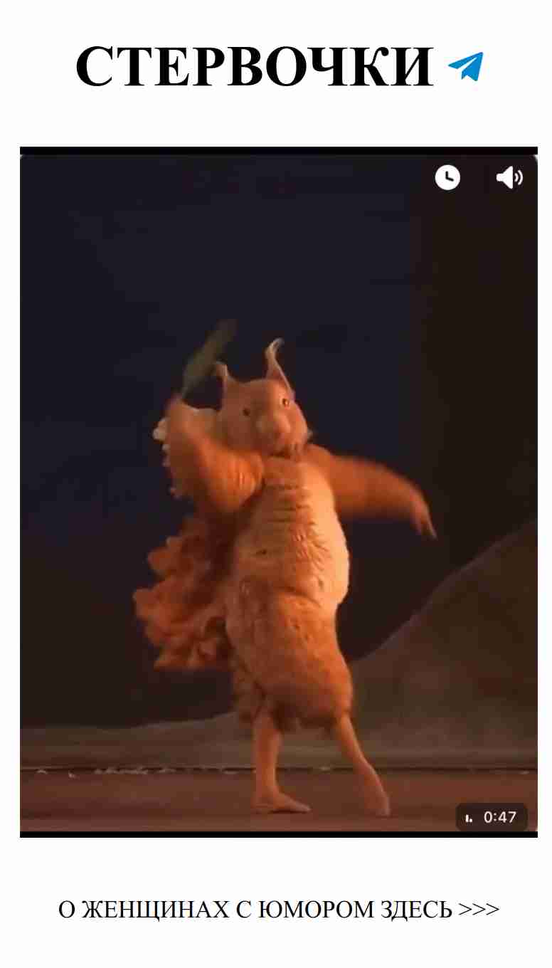 Когда осень сгущает краски, шутки про любовь спасают!