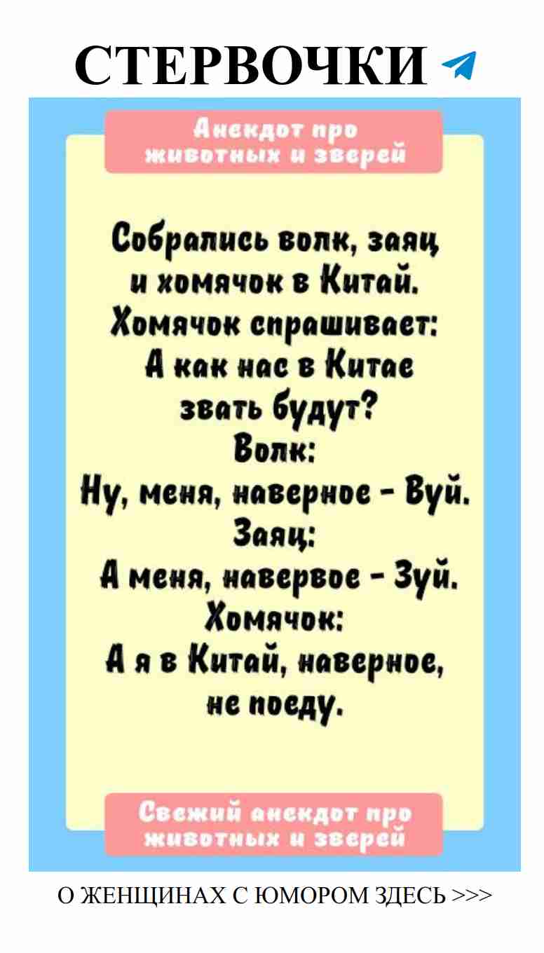 Смешной анекдот о любви и животных для хорошего настроения