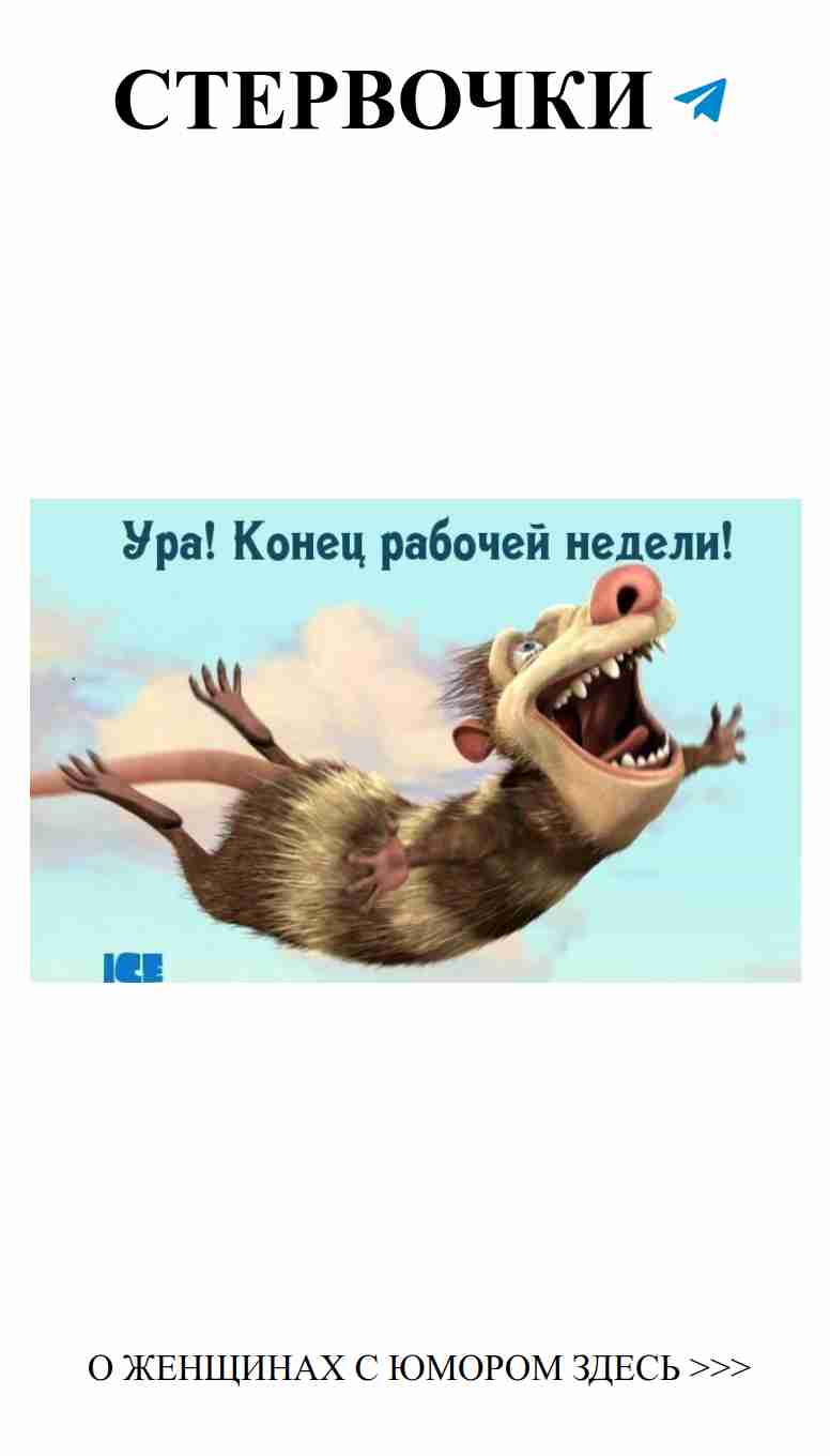 Любовь и юмор: как пережить конец рабочей недели