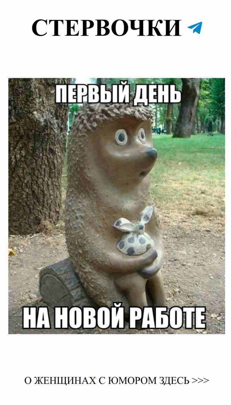 Первый день на новой работе: любовь с первого взгляда