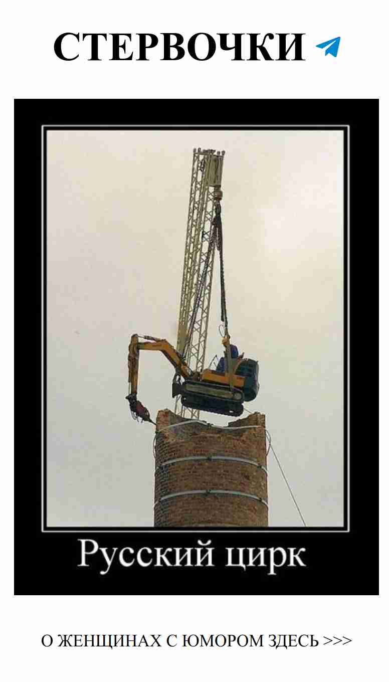 Любовь и юмор: веселые картинки для девушек