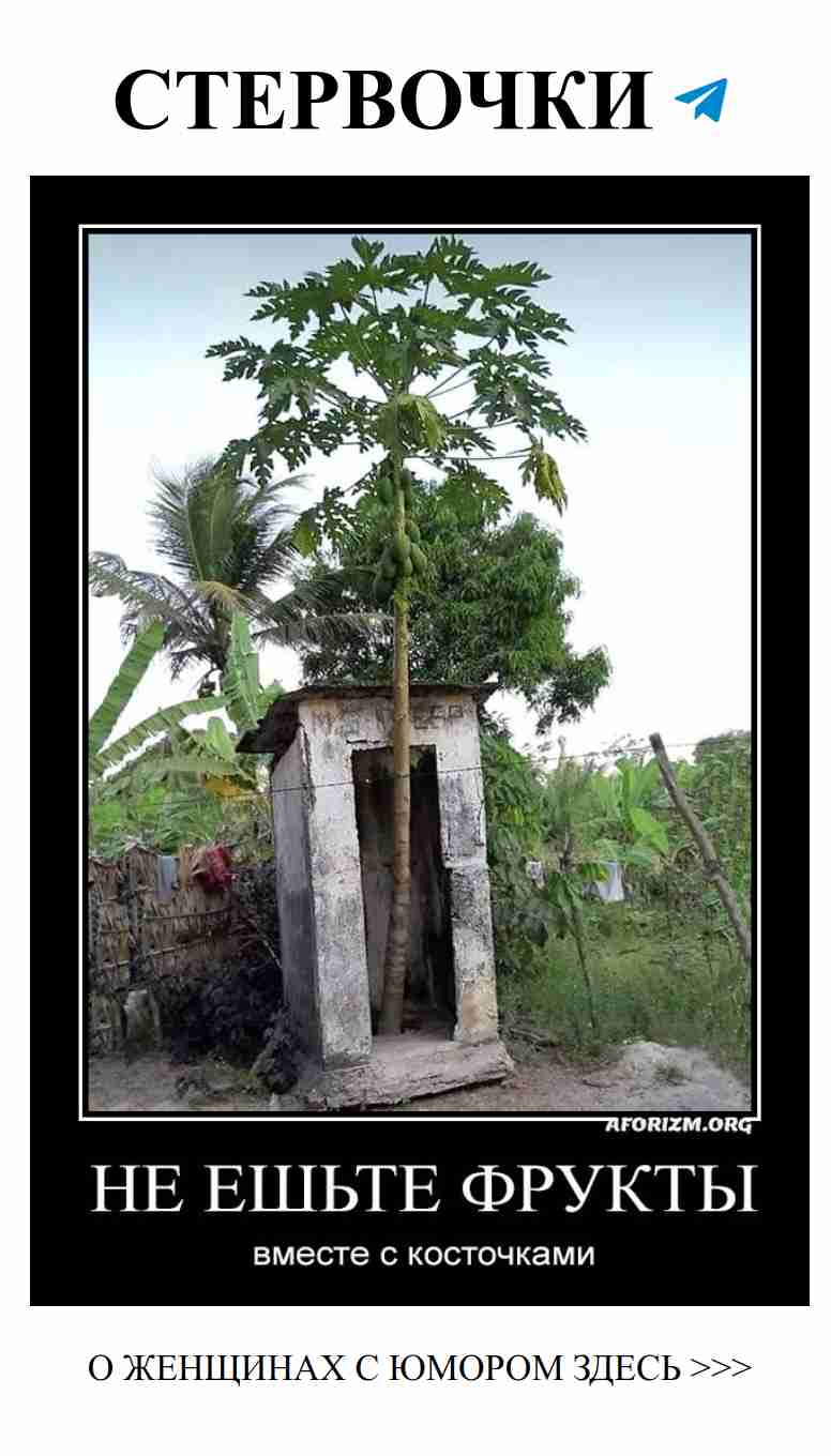 Сложные отношения: есть фрукты с косточками или нет