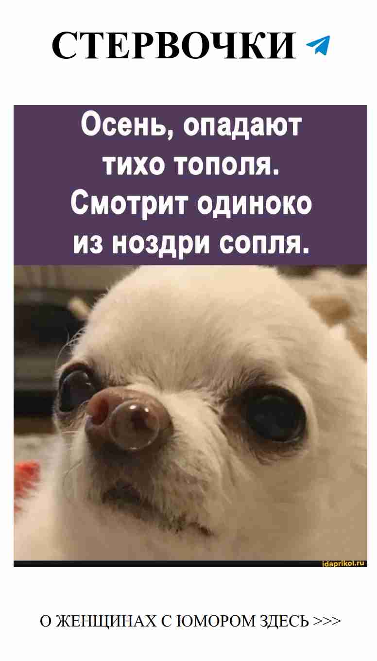 Любовь вызывает слезы, но иногда и улыбки