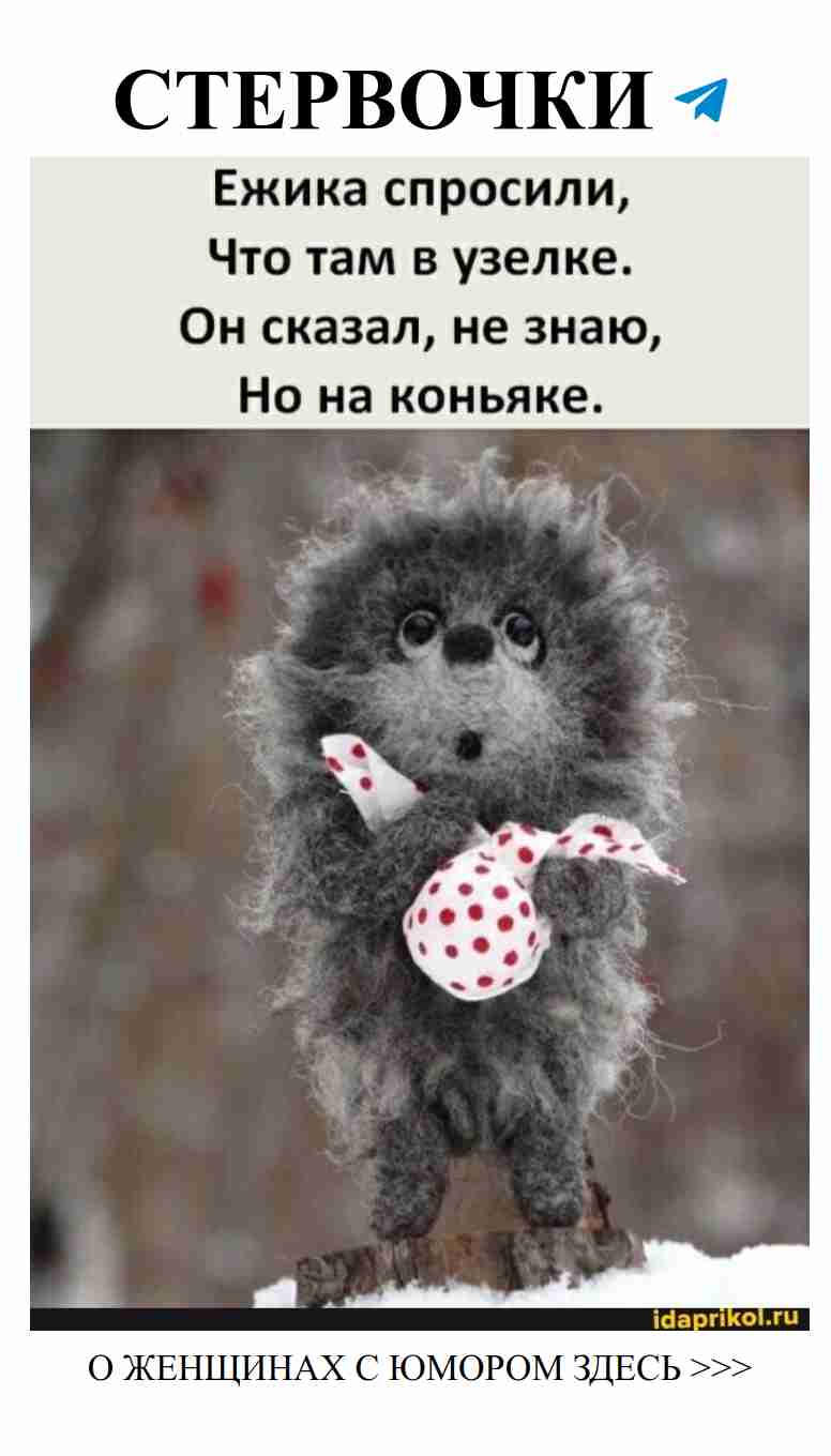 Ежик и коньяк: романтика и женский юмор вместе