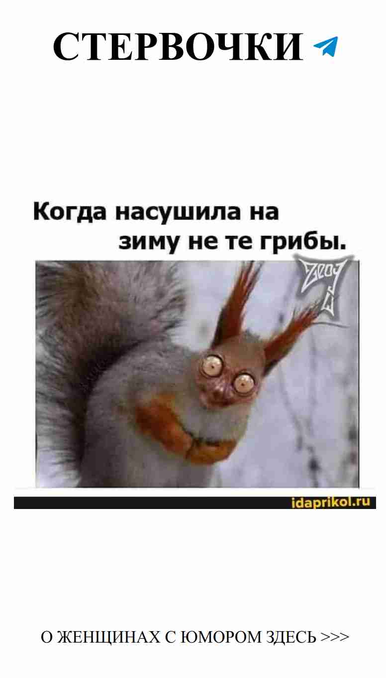 Когда грибная страсть приводит к смешным последствиям