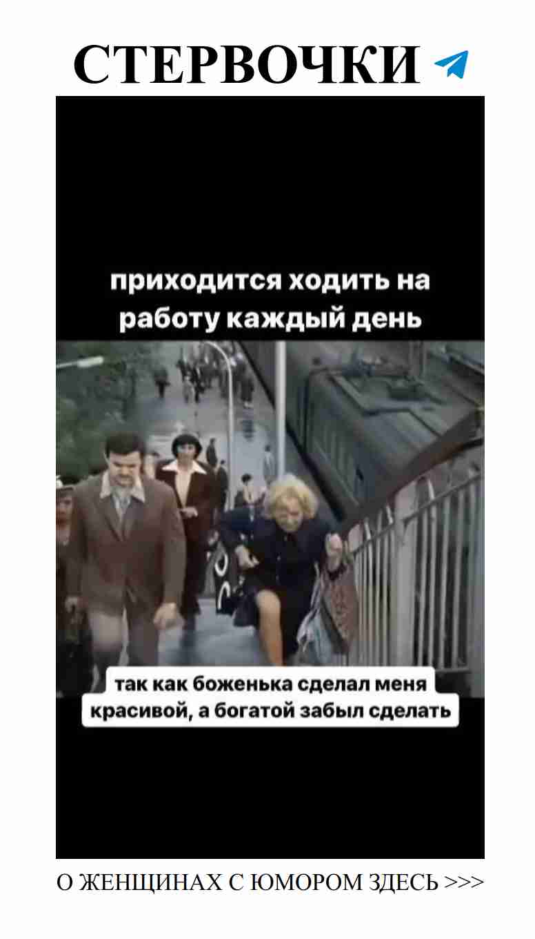 Смех и любовь: смешные моменты, которые раскрасят день