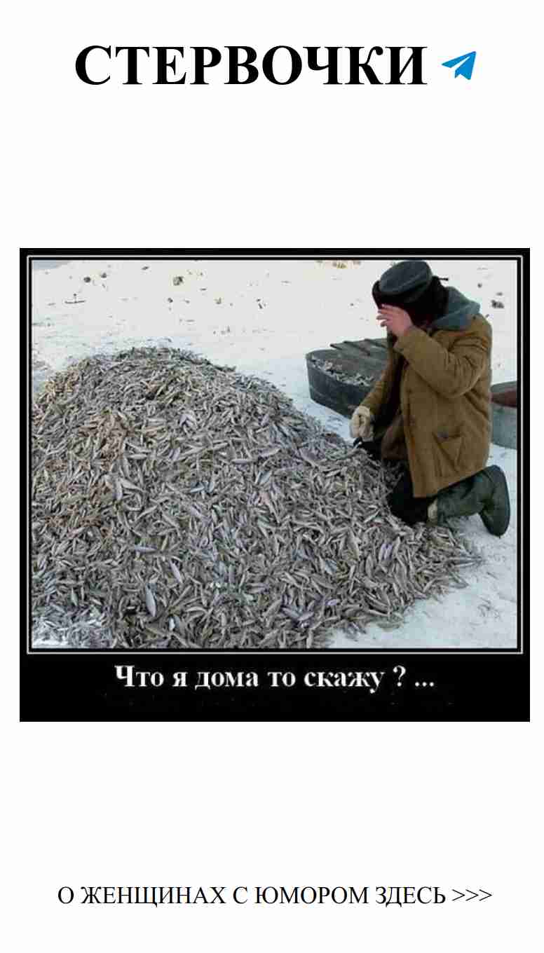 Весёлые картинки о рыбалке для романтиков