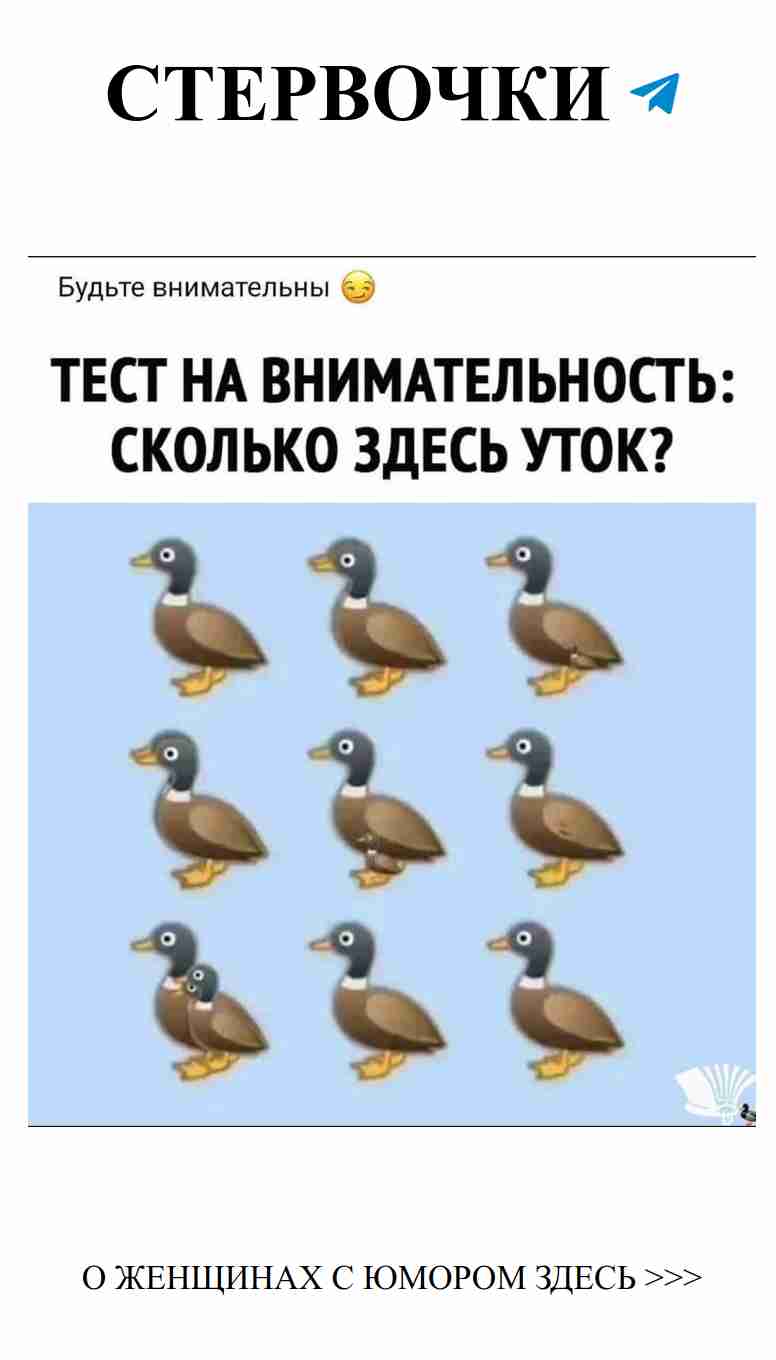 Как утка может помочь в любви: проверь свою внимательность