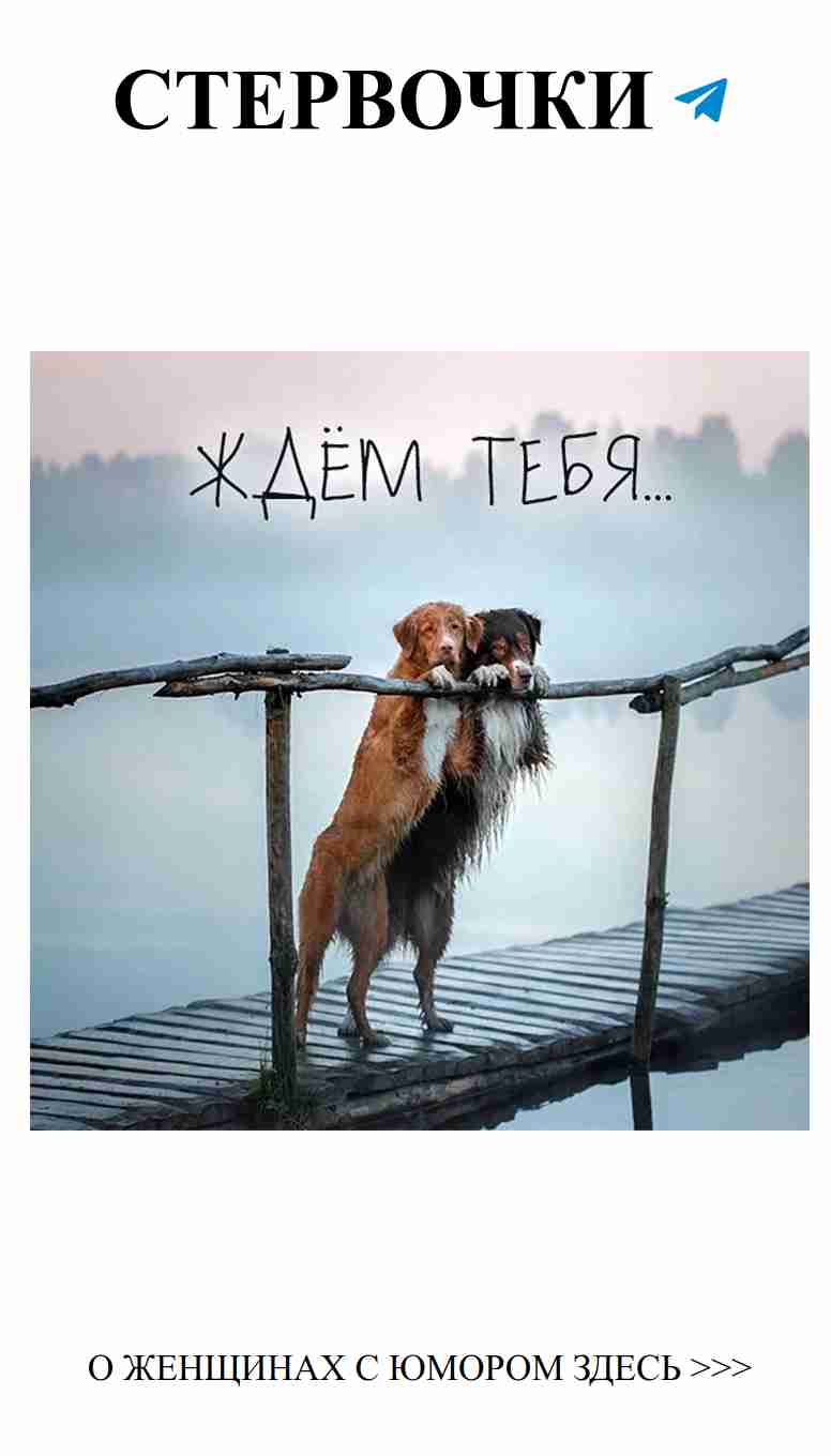 С любовью и юмором: 82 фото для поднятия настроения