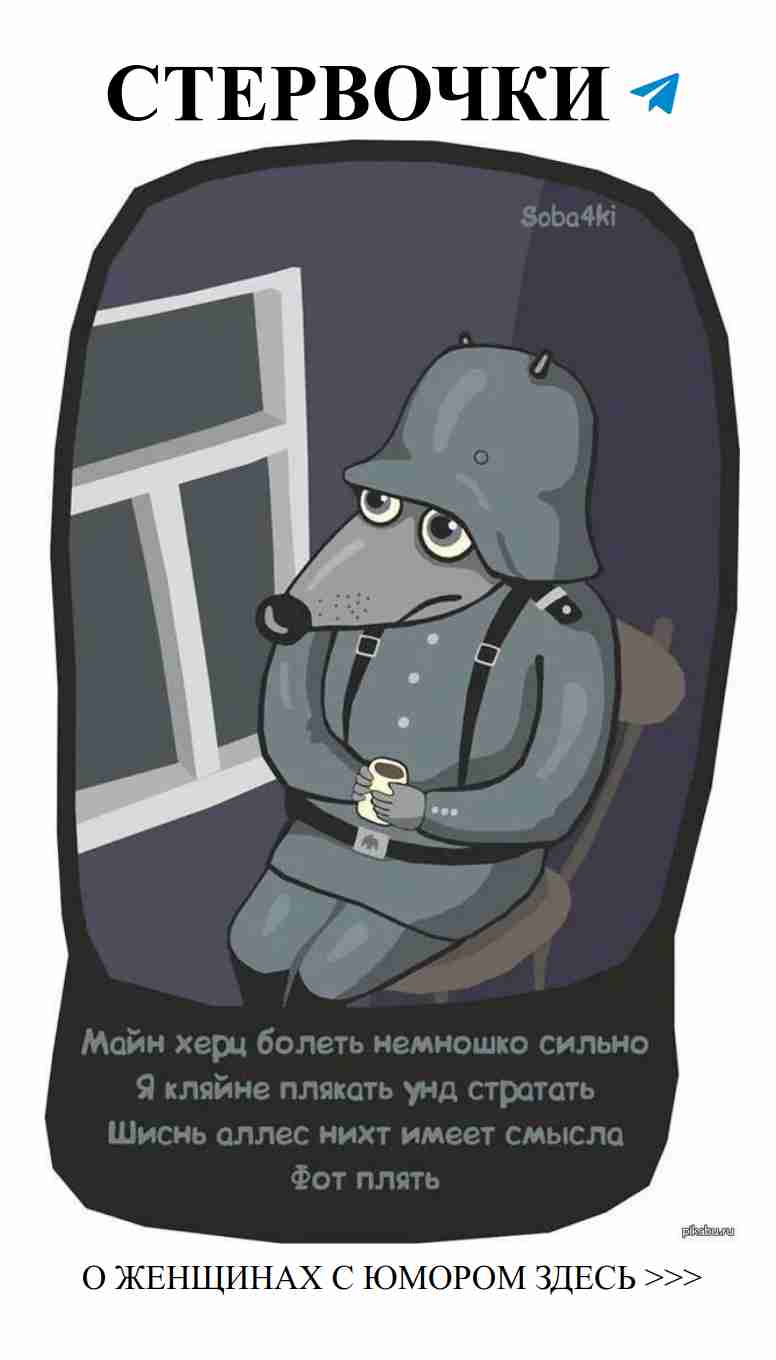 Субботний вечер: смешные стишки о любви и жизни