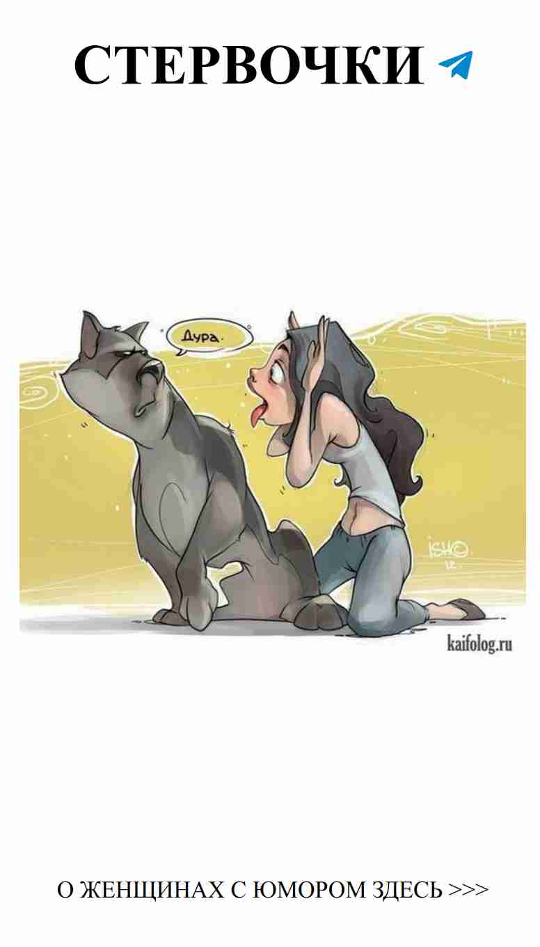 Смешные картинки о любви и романтичных фразах