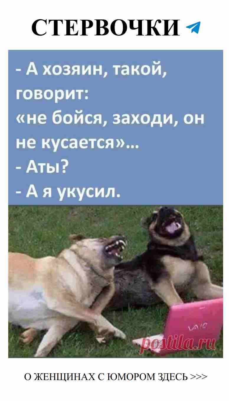 Смешные истории о любви, которые заставят вас улыбнуться