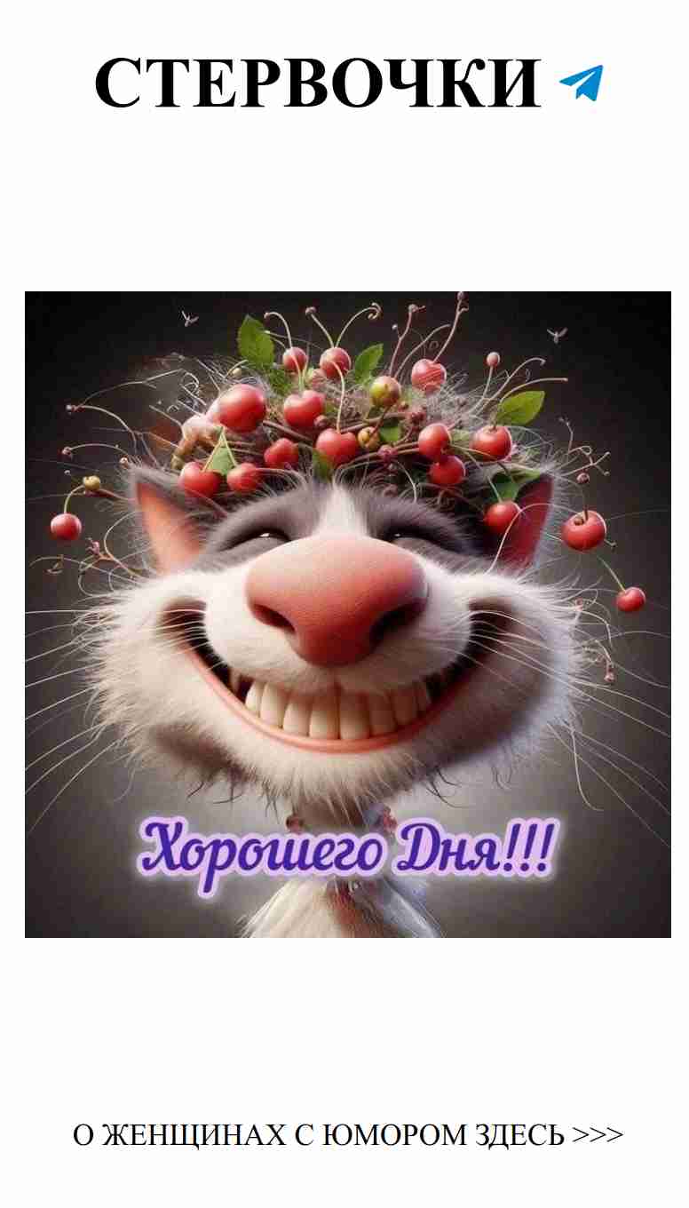 Юмор о любви: открытые сердца и искренние улыбки