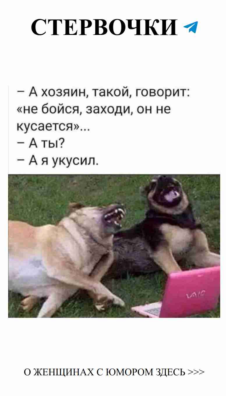 Любовь в картинках: смешно и с юмором о душе