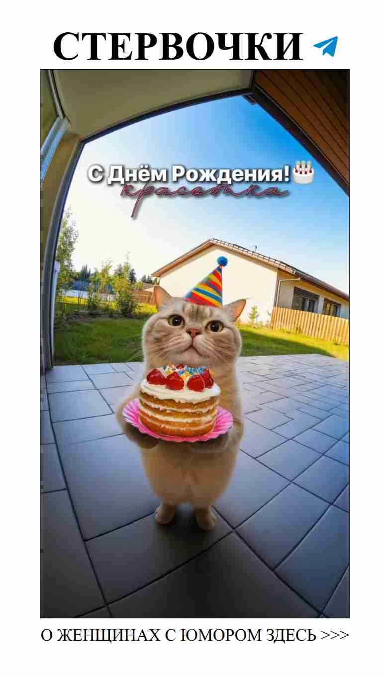 Смешные котики для любимых в день рождения