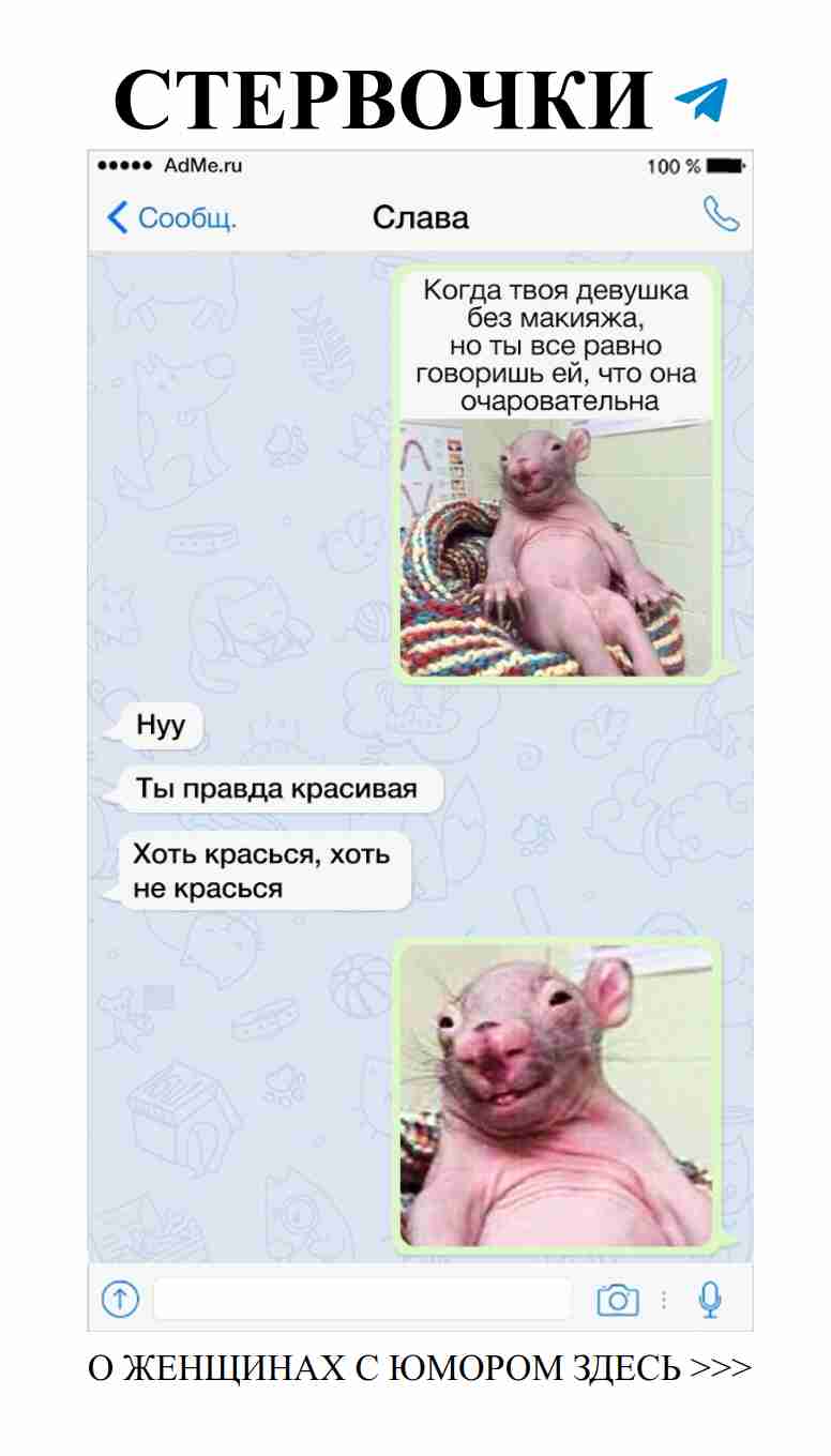 Женский юмор в СМС: как мы диктуем свои правила