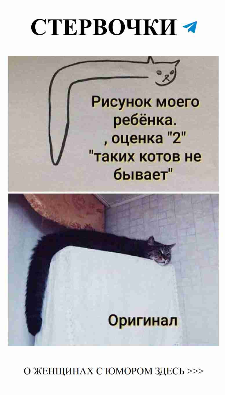 Смех и любовь: когда быт не мешает веселиться