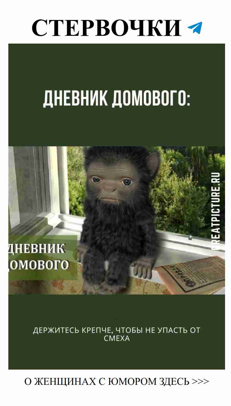 Смех и любовь: истории, которые радуют и вдохновляют