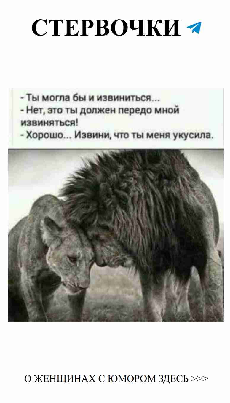 Лучшие шутки о любви для женщин и не только