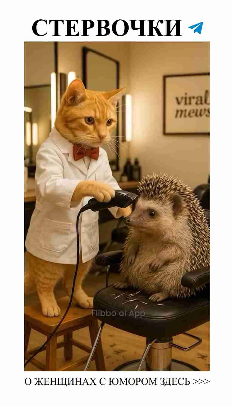 Когда твоя стрижка больше похожа на шутку, чем на стиль