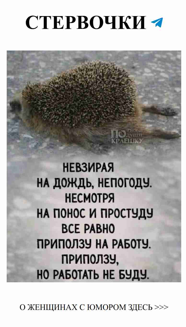 Любовь с юмором: смех лучшее лекарство для сердца