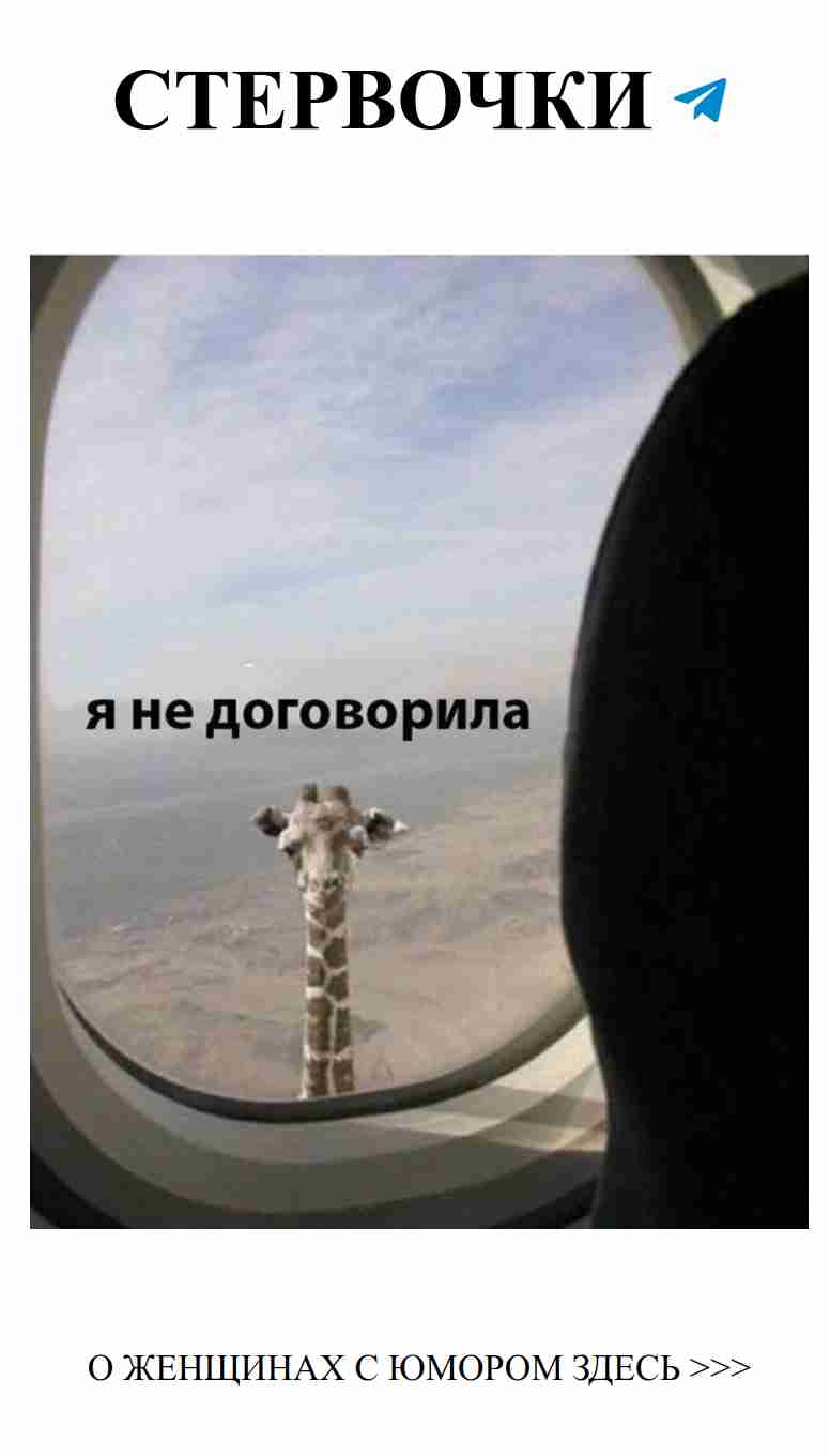 Любовь в шутках: как не сойти с ума по дороге к сердцу