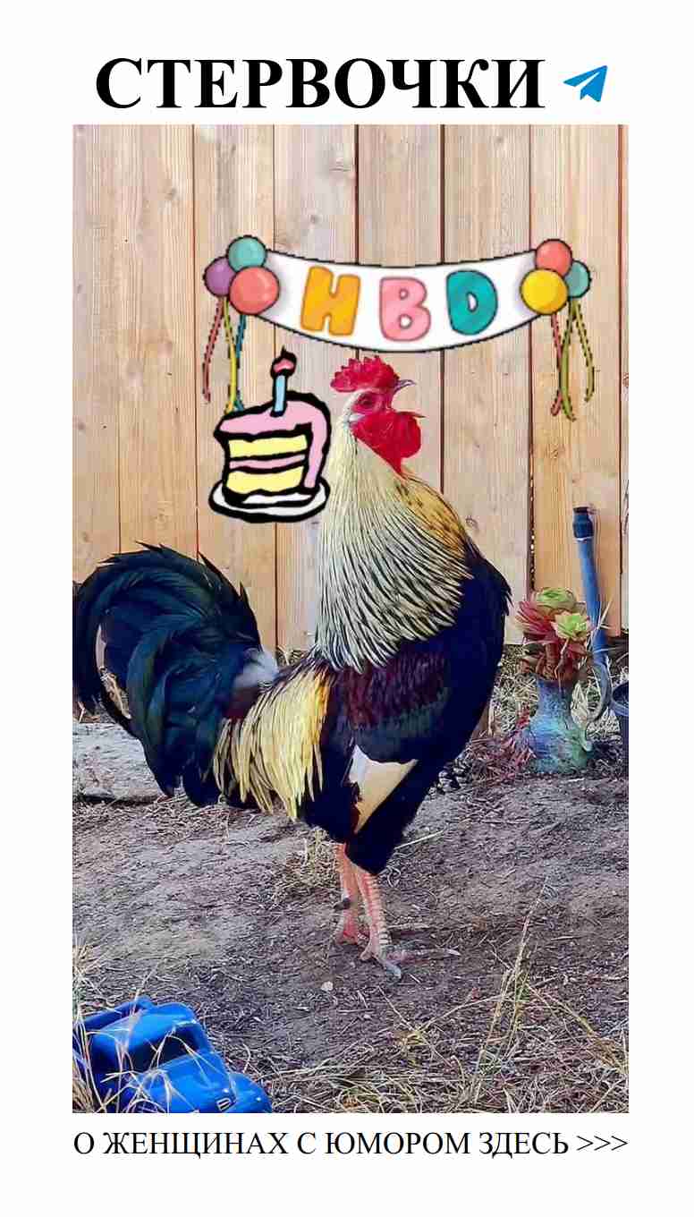 Юмористический праздник с любовью: смех и радость в каждом мгновении