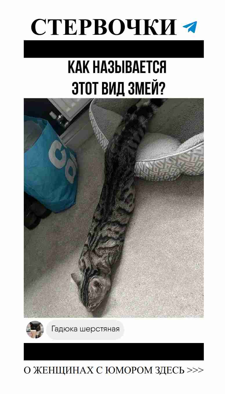 Смешные случаи из жизни женщин в любви