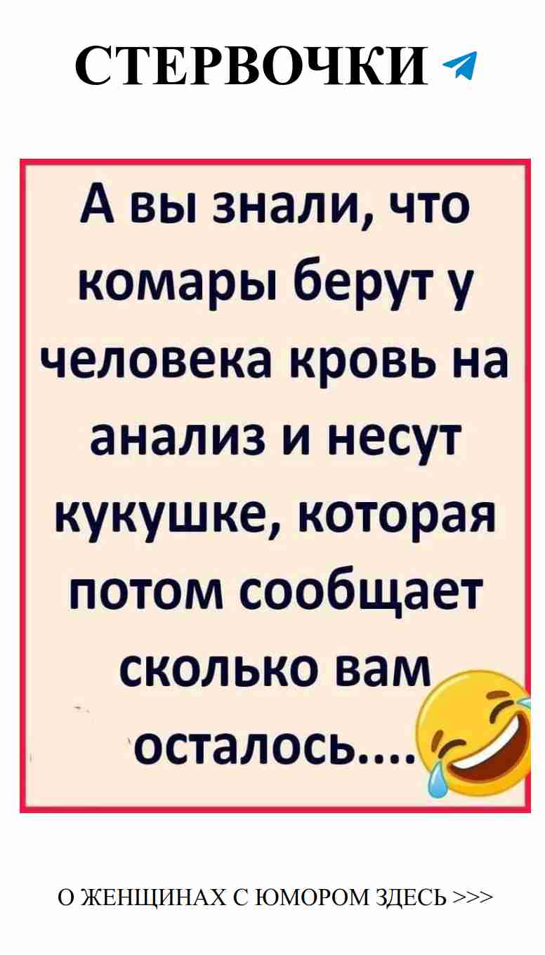 Любовь: смех и слёзы, когда сердце поет!