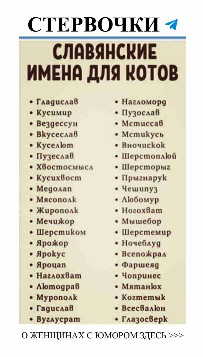 Любовь и смех: когда шутки становятся романтичными